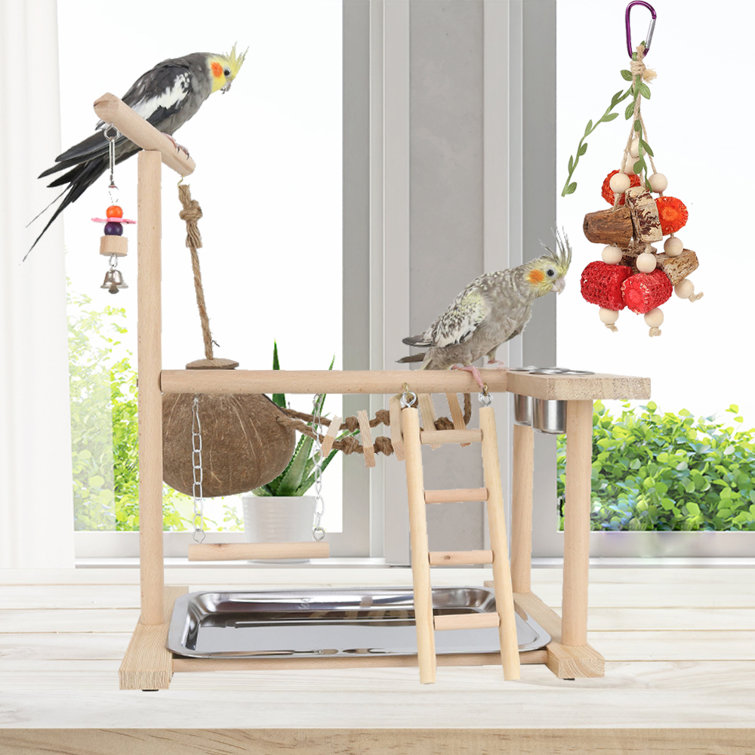 Conure play clearance gym